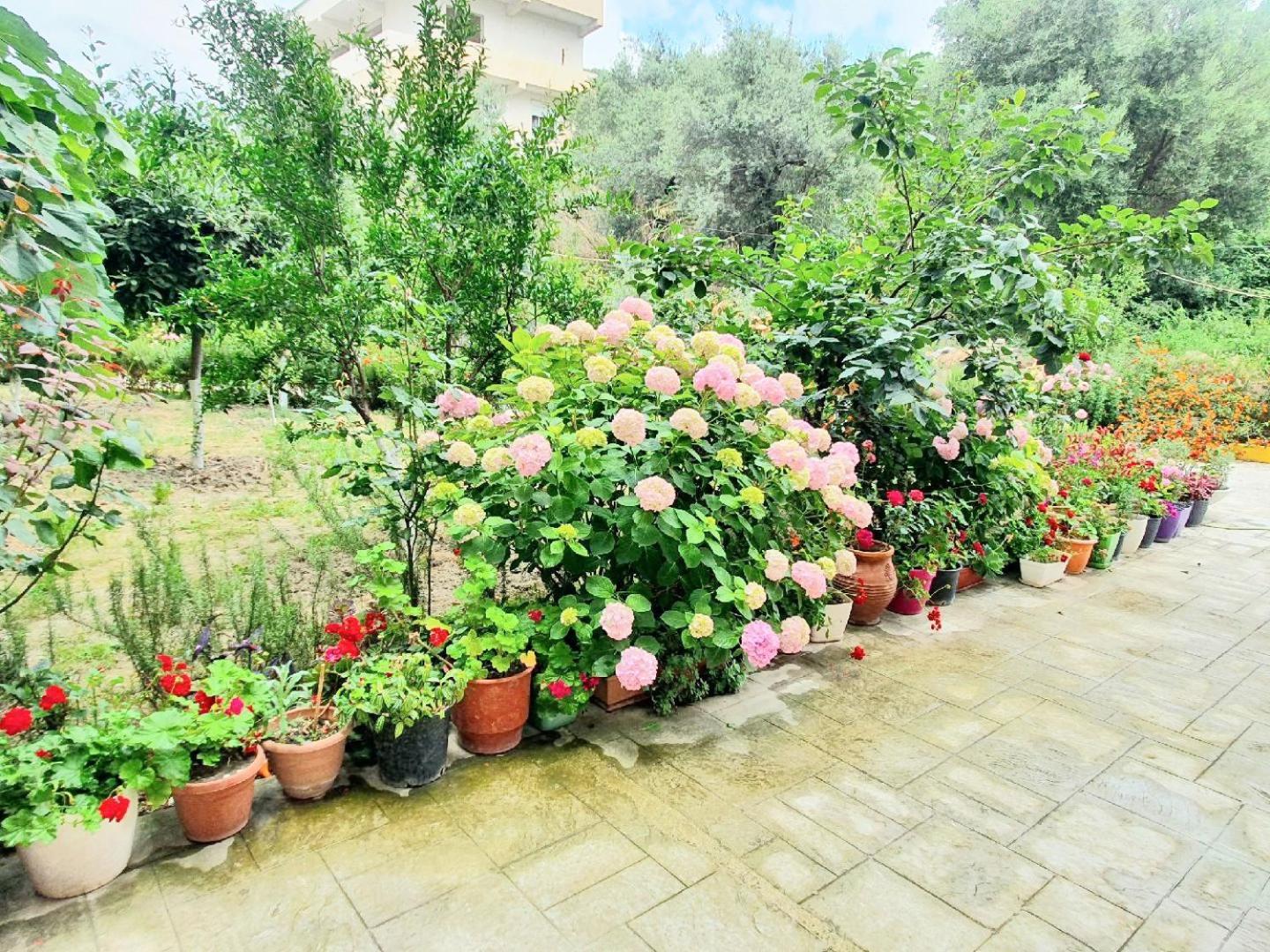 Apartament Me Qera Dublex Lungomare Vlorë Esterno foto